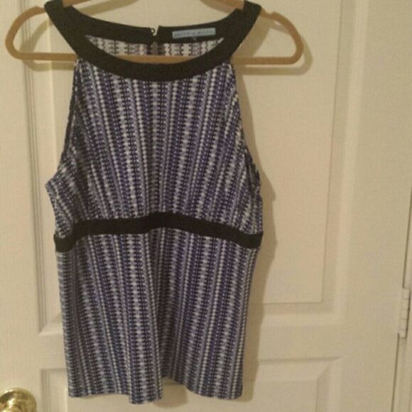 ANTONIO MELANI Tops - Blue and White Top